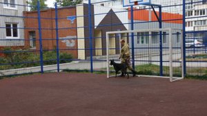 Доберман на прогулке. Эпизод первый.