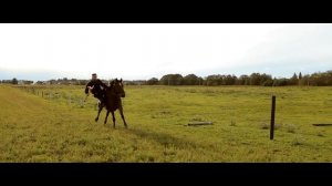 Многая лета русской земле