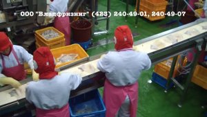 Линия по переработке кальмара CHSA-QE1 (ООО "Владфризинг")