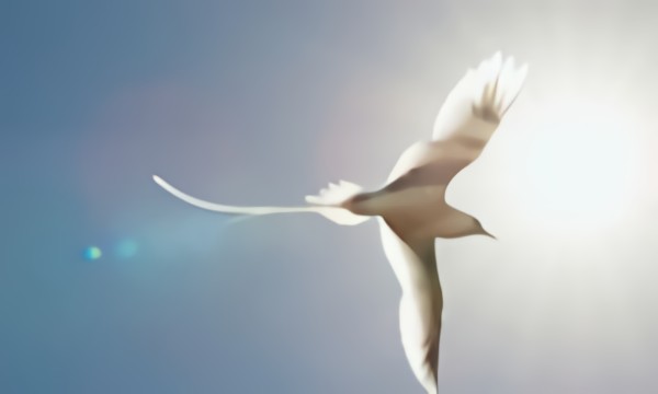 Светлый поток жизни смотреть онлайн