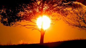 Как обрести внутреннее спокойствие?