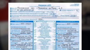 Как получить страховые выплаты после ДТП: пошаговый алгоритм