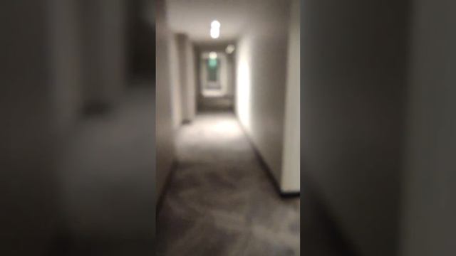 Magnolia Hotel Downtown Dallas смотреть онлайн