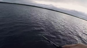 Ловля с джиг-головкой в коряжнике. Типы приманок, оснащение, техника и тактика