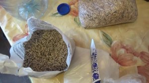 САМОГОН ПО СТАРОМУ ДЕДОВСКОМУ СПОСОБУ РЖАНОЙ И ОВСЯНЫЙ САМОГОН-СРАВНЕНИЕ Полная версия