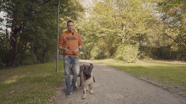 6 Übungen die du JEDEN TAG mit deinem Hund machen solltest! смотреть онлайн