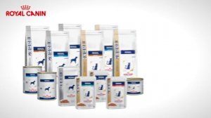 Royal Canin Renal Veterinary Diet