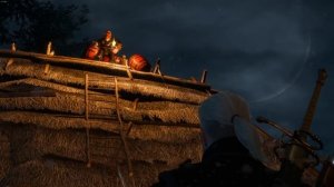 Взрывоопасный краснолюд (все варианты диалога) - Ведьмак 3: Каменные сердца