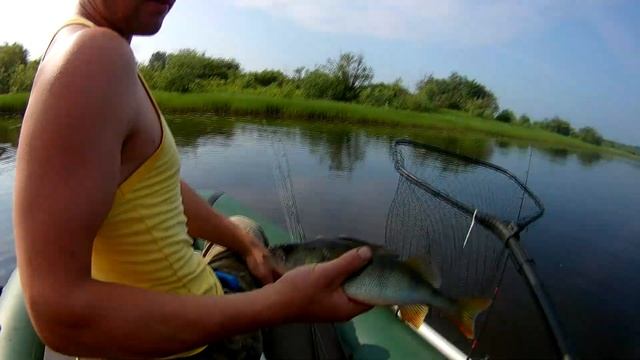 ЖОР ХИЩНИКА НА MEPPS!Хороший клёв на старице! смотреть онлайн