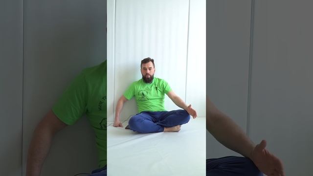 Чага березовая. Для чего она?