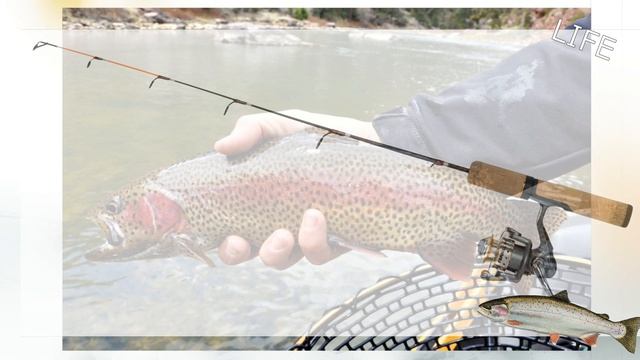 Как ловить рыбу на горной реке спиннингом? Какая рыба водится в горных реках?