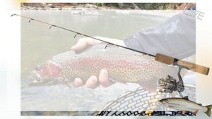 Как ловить рыбу на горной реке спиннингом? Какая рыба водится в горных реках?