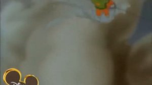 Песня из мультфильма Чудеса на виражах