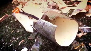 Заготовка осиновых свай