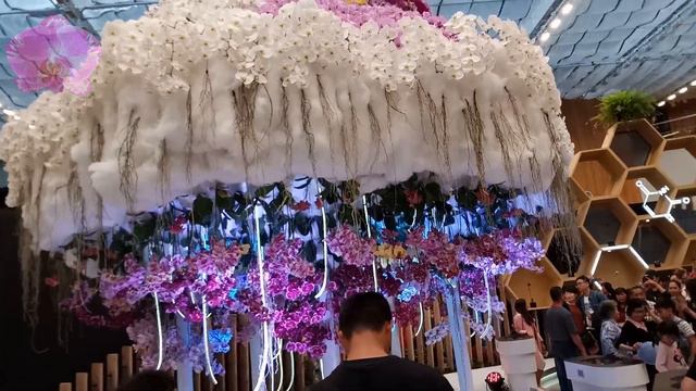 Phalaenopsis Orchids decoration @Taichung World Flora Exposition смотреть онлайн