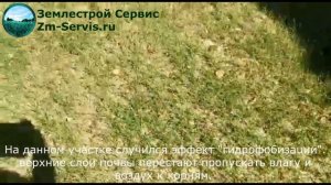 Восстановление рулонного газона после ошибок в период приживания.