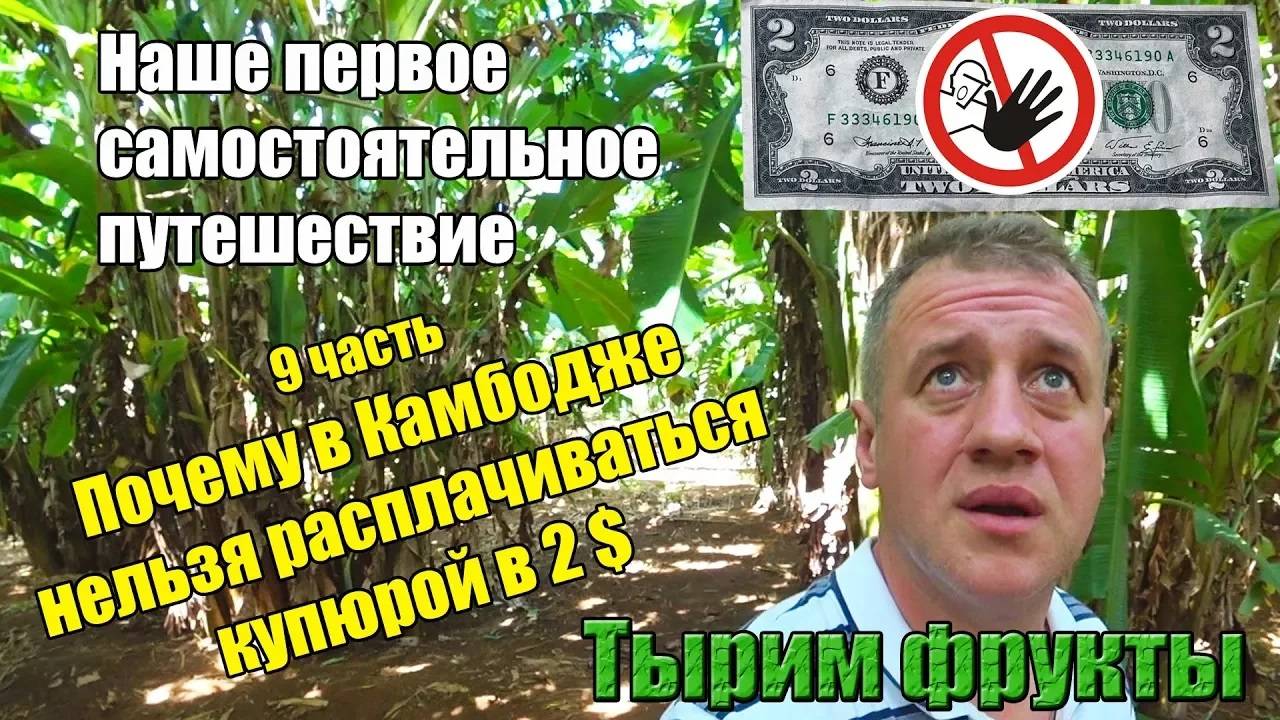 Самостоятельно Камбоджа 🌴 9 часть 🍌 Фруктовые плантации и мелкие полезности 🍍