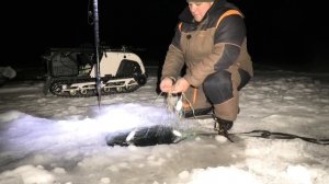 Рыбалка на сети зимой в Сибири!