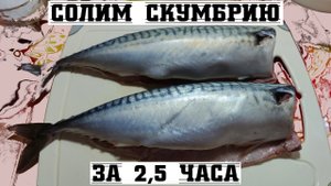Солим скумбрию за 2,5 часа