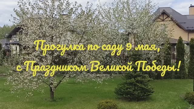 Прогулка по саду 9 мая, с Праздником Великой Победы!