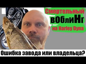 Смертельный воблинг на Harley Dyna.Ошибка завода или владельца?