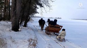 Лошади зимой в санях!!! Великолепные покатушки на лошадях!!!