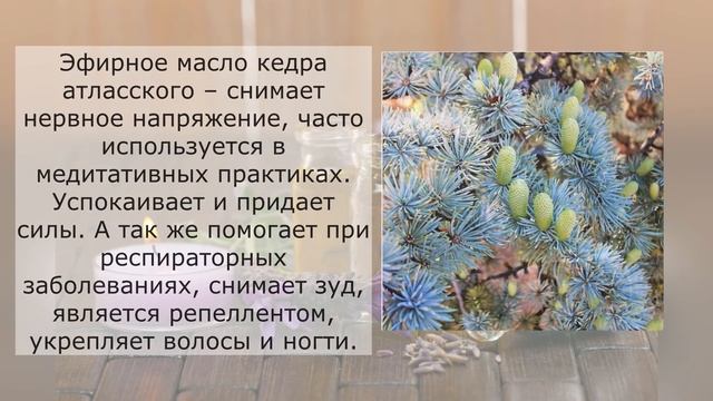 Эти эфирные масла помогут вам в медитации.  Ароматерапия для йоги, медитации и иных духовных практи