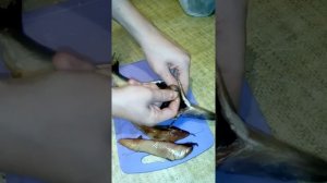 Внутренности селедки