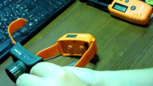 Обзор Электроошейника PETtrainer PET 910
