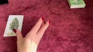 ✨ЧИТАЕМ ЛИНЕЙНЫЕ РАСКЛАДЫ ЛЕНОРМАН? КАК ЧИТАТЬ СОЧЕТАНИЯ ЛЕНОРМАН❓