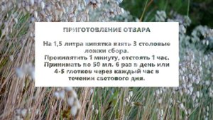 СБОР №12. ПРИ АТЕРОСКЛЕРОЗЕ С СОПУТСТВУЮЩИМИ ЗАБОЛЕВАНИЯМИ ПЕЧЕНИ, ХОЛЕЦИСТИТЕ, ПАНКРЕАТИТЕ.