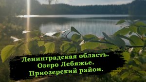 Озеро Лебяжье. Ленинградская область. Приозерский район. Подводная охота