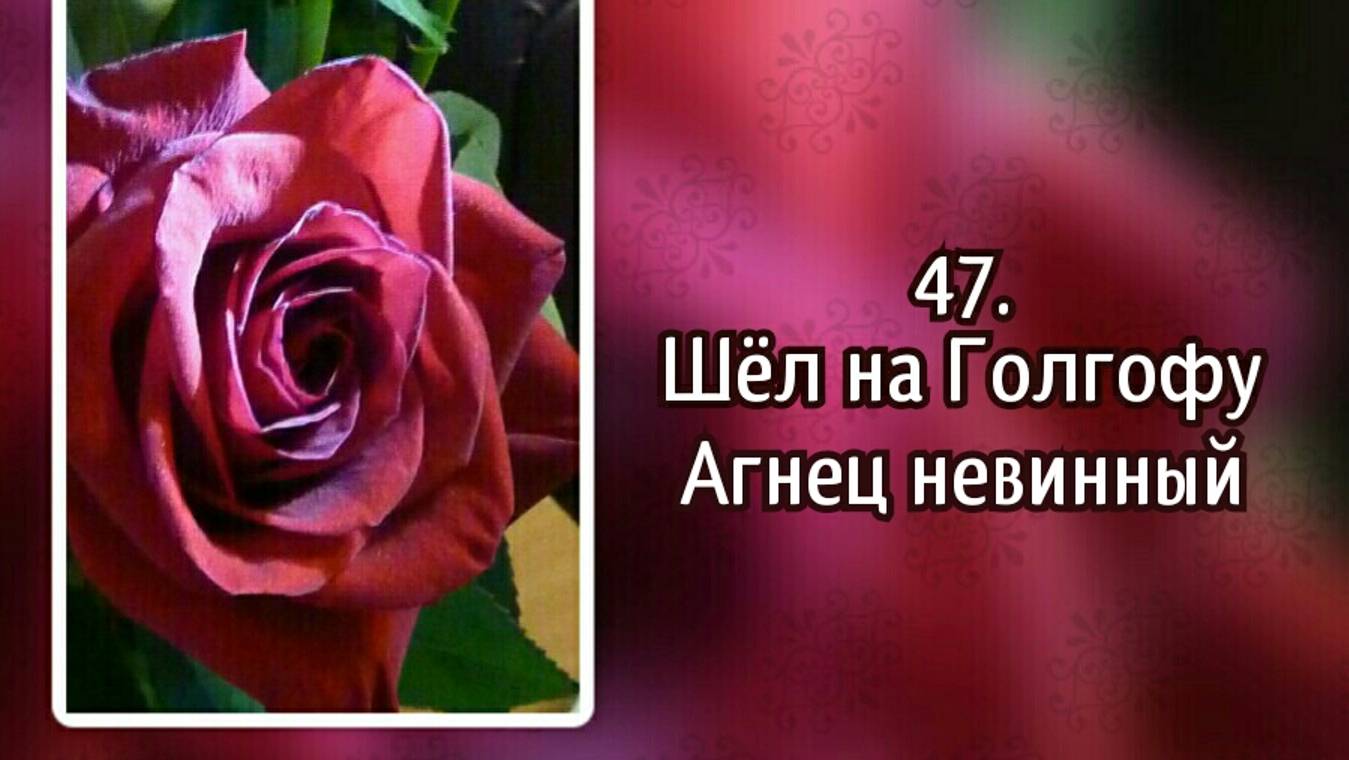 Гммны надежды 47 Шёл на Голгофу Агнец невинный (-)