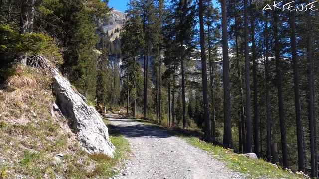Hiking Oeschinensee Kandersteg Switzerland  Ambient Sound  4K 60fps Video