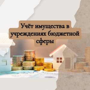 Учёт нефинансовых активов в учреждениях госсектора