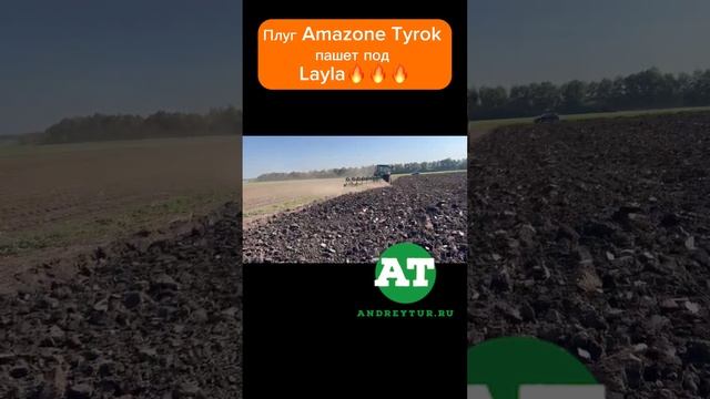 Плуг Amazone Tyrok пашет под Layla??? #amazone #tyrok #hektor #tillage