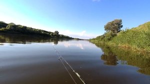 Рыбалка на Дону | Спиннинг