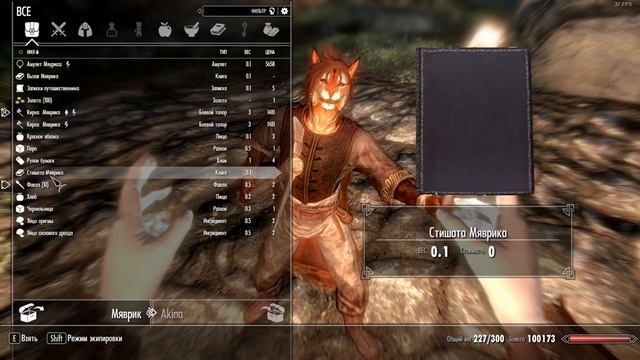 Топ 5 самых лучших модов на компаньонов Каджитов. Skyrim LE(SE) смотреть онлайн