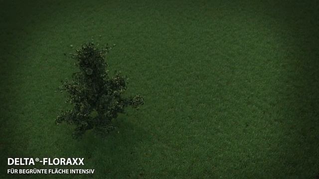 Vegetačná strecha intenzívna s DELTA®-FLORAXX смотреть онлайн