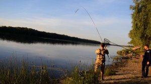 Ловля сазана на Дону. Личный рекорд по донскому сазану побит! Отличный отдых на реке.