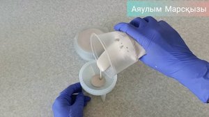 Шкатулка из гипса• Қазақша•Гипс•Г-16•Скульптор