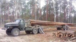 Загрузка лесовоза