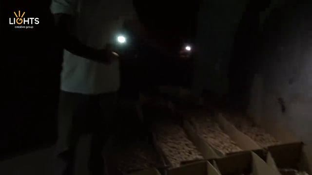 Жарым жыланач болуп КУРУТ жасап жатышат...? / НЕ САХАР смотреть онлайн