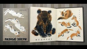 Е И Чарушин 120 лет