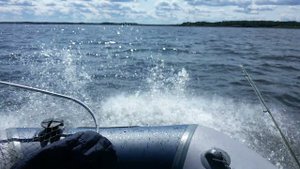 Рыбинка 2021, Рыбинское водохранилище, Коприно, Глебово, река Волга