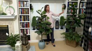 Faux Fiddle Leaf Tree in Starter Pot by Valerie on QVC