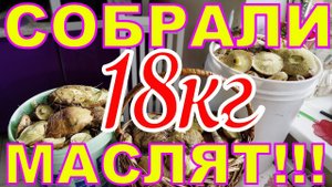 ВОТ ЭТО НАХОДКА !!!