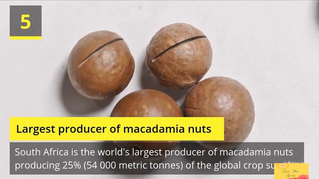 12 positive facts about the rainbow nation of South Africa смотреть онлайн