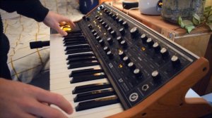 Moog Subsequent 37 + LABS Soft Piano
