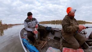 Река Дон - Судак и Щука осенью (Рыбалка 2023)